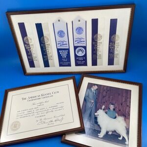 AKC Samoyed Champion Ribbons Certificate Photo Set Blue White 1970s St Louis MO